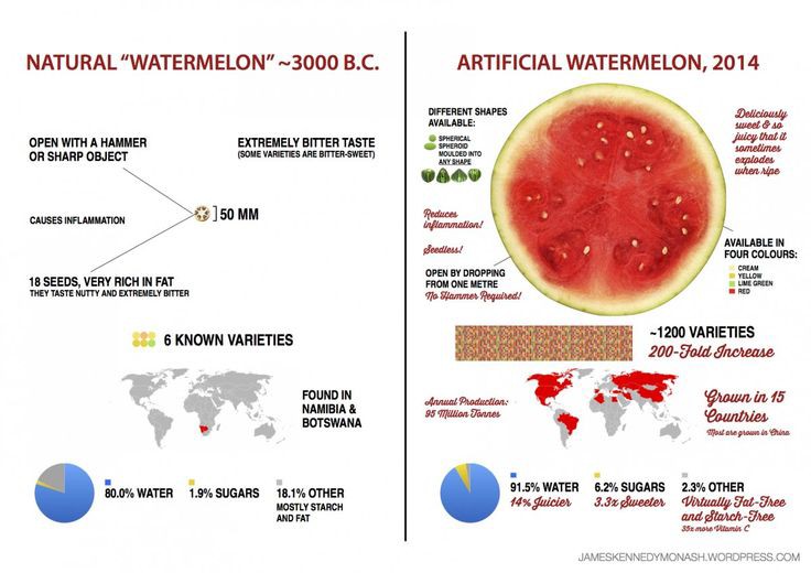 Natural Watermelon and Artificial Watermelon Infographic